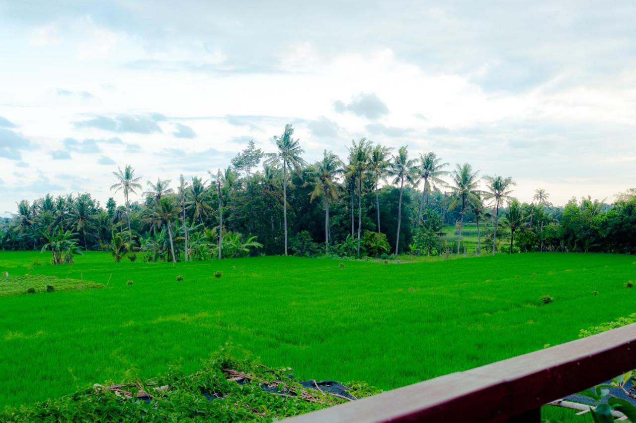 Nauna Villa Ubud Exteriör bild