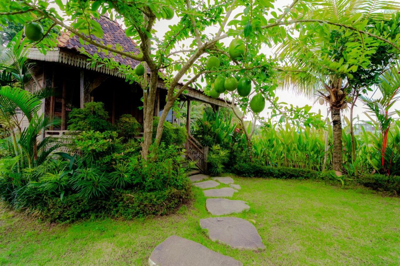 Nauna Villa Ubud Exteriör bild